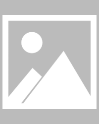  柏林联合黑马姿态冲击欧冠资格区  